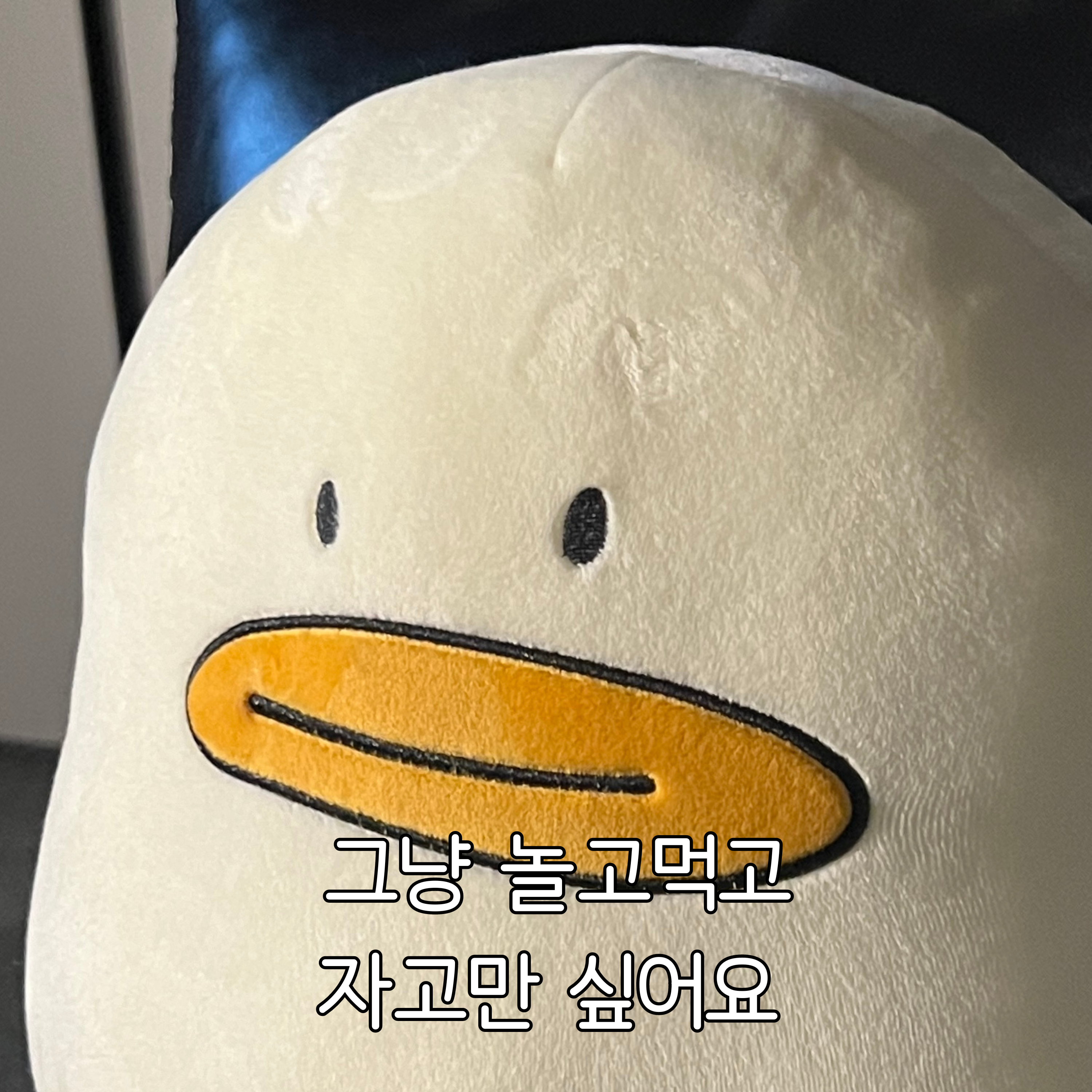 [몽댕] 뚠뚠 김빠덕 모찌쿠션 상세 이미지 10