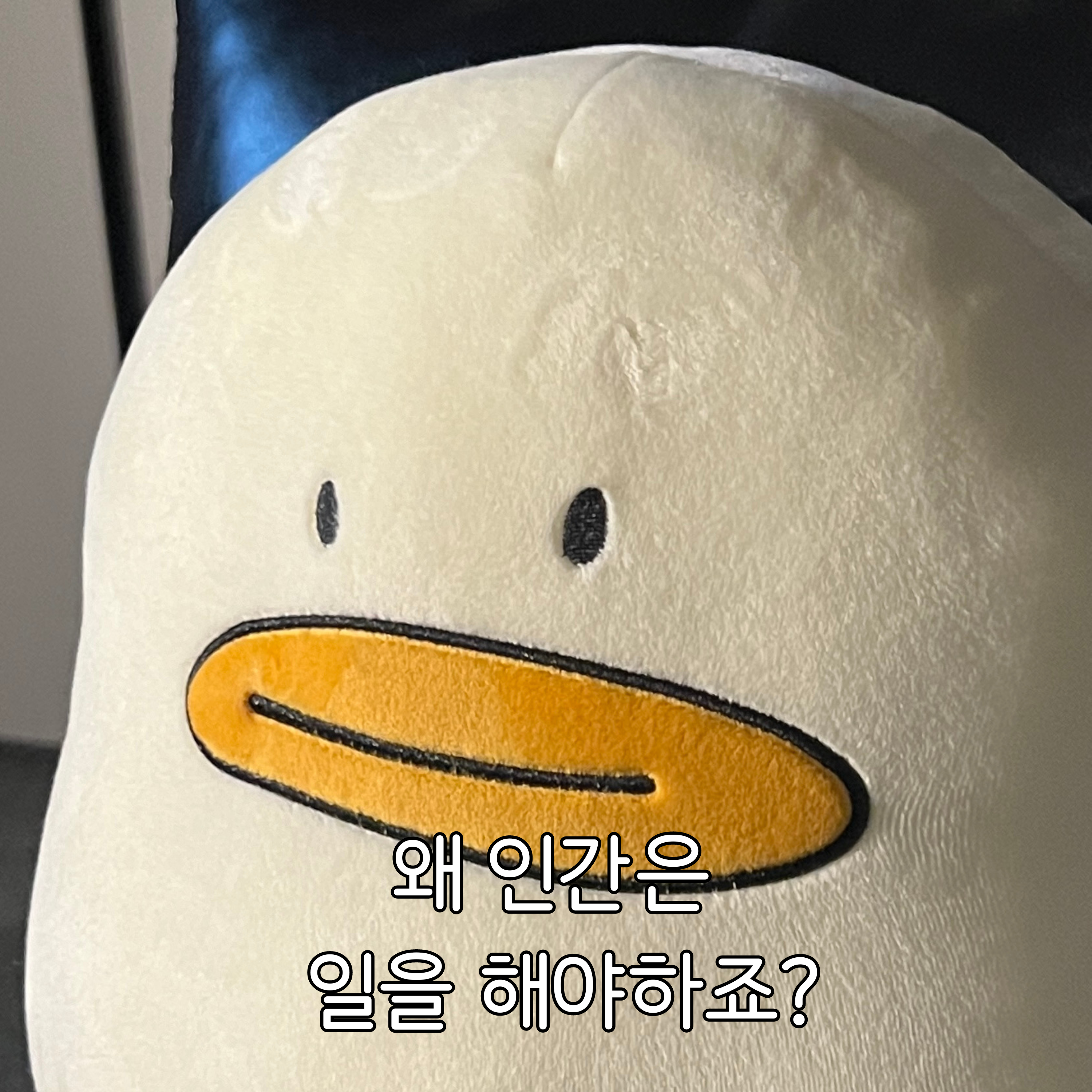 [몽댕] 뚠뚠 김빠덕 모찌쿠션 상세 이미지 11