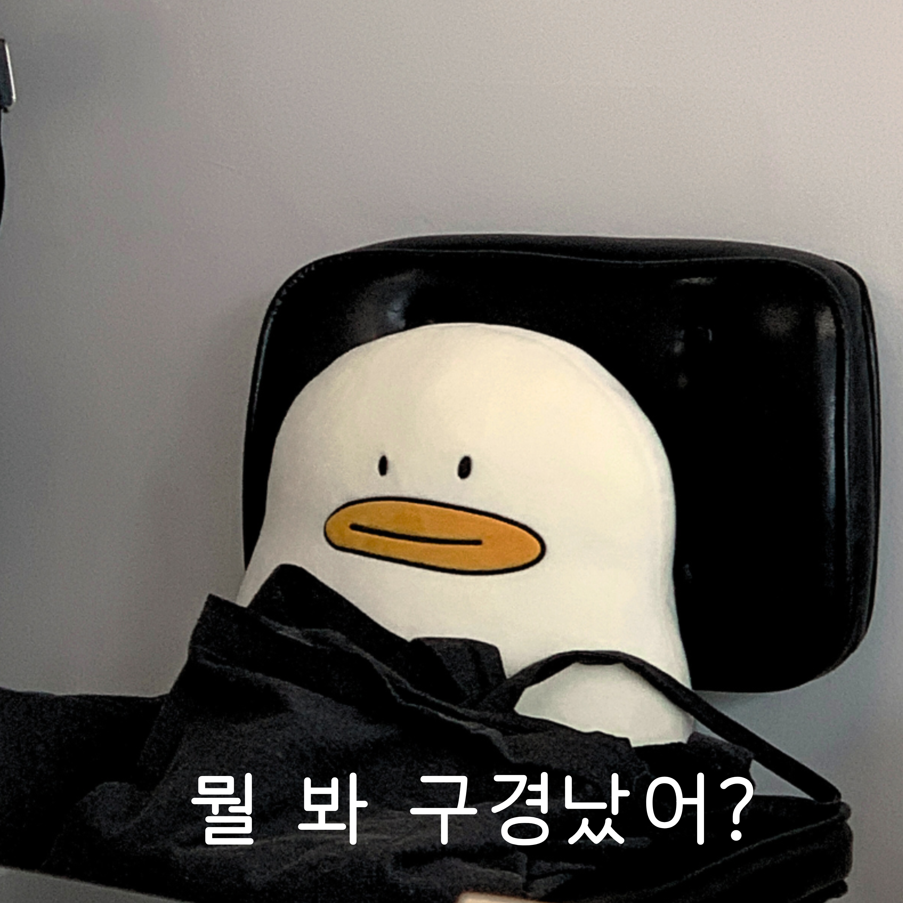 [몽댕] 뚠뚠 김빠덕 모찌쿠션 상세 이미지 4
