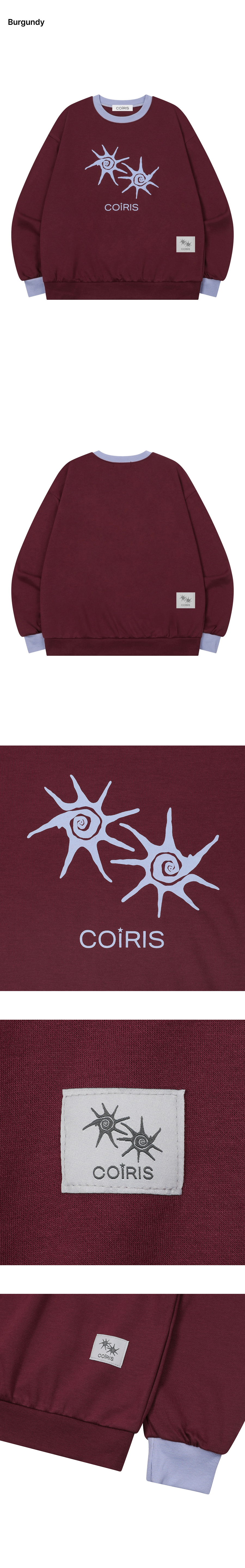 SWEATSHIRT - 11 COLORS CHARCOAL